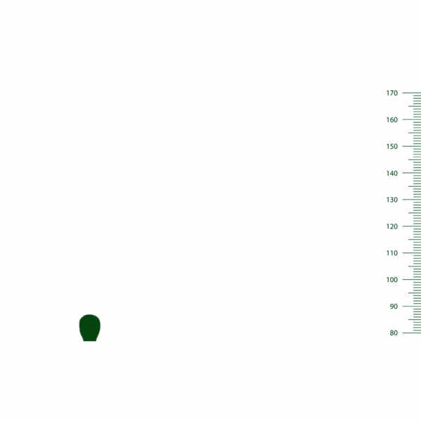 Height Veda World's No.1 Height Growth Formula