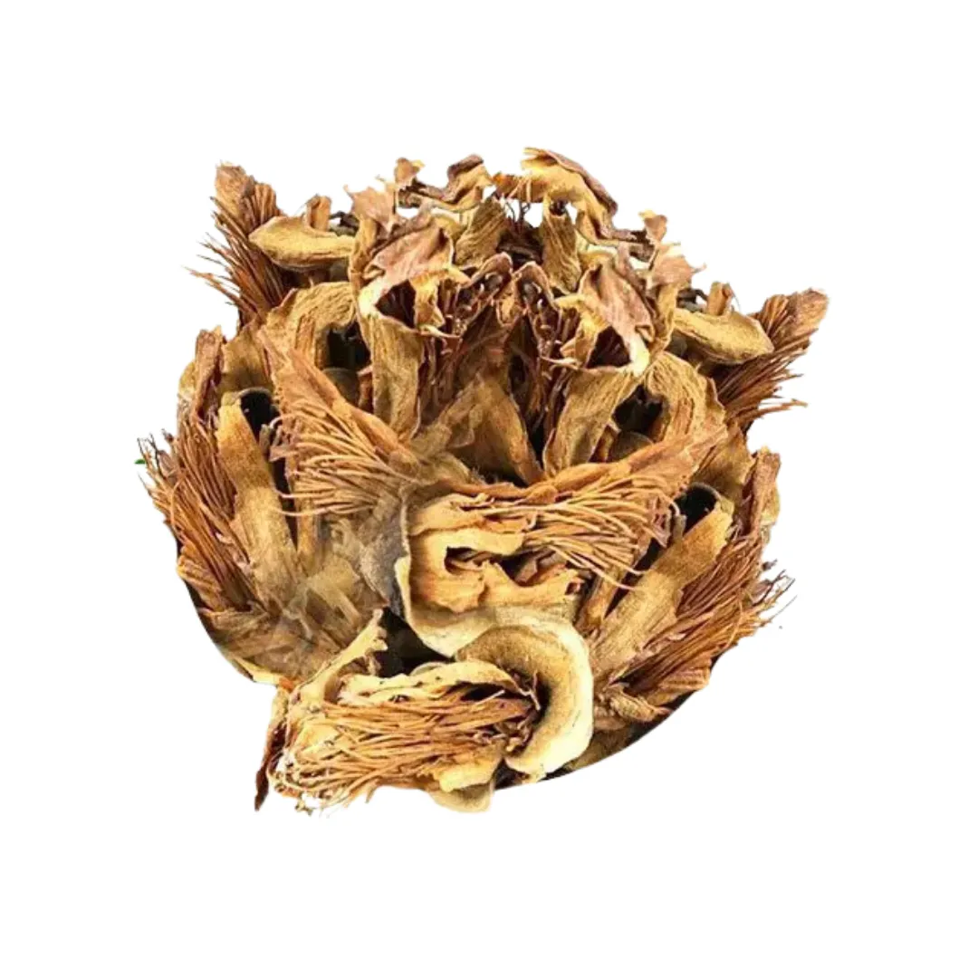 semal flower